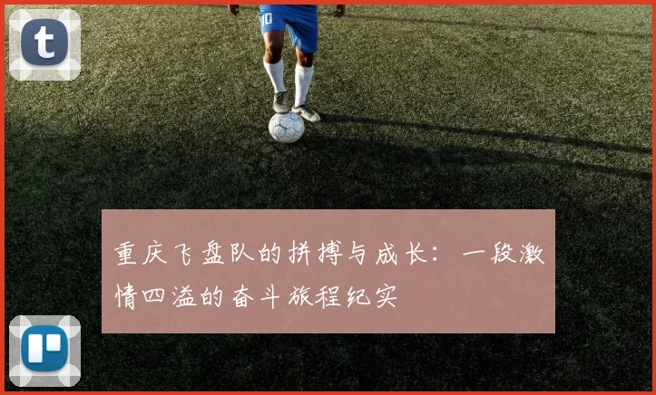 重庆飞盘队的拼搏与成长：一段激情四溢的奋斗旅程纪实