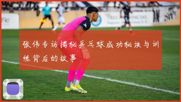 张伟专访揭秘乒乓球成功秘诀与训练背后的故事