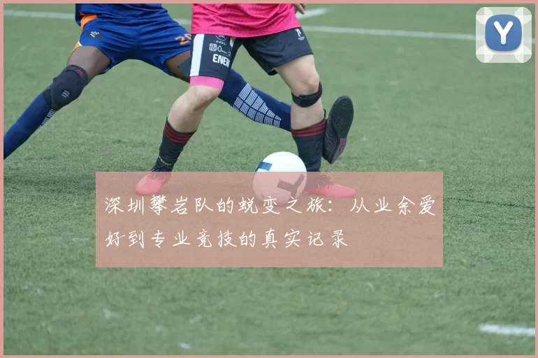 深圳攀岩队的蜕变之旅：从业余爱好到专业竞技的真实记录