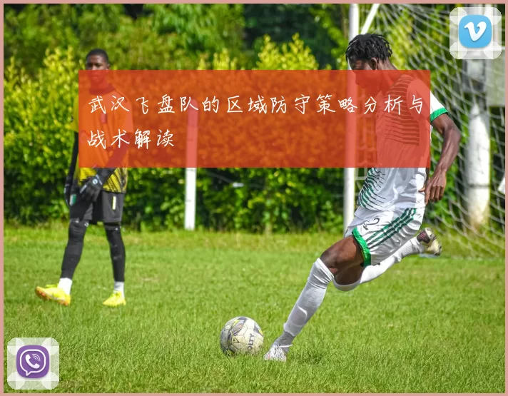 武汉飞盘队的区域防守策略分析与战术解读