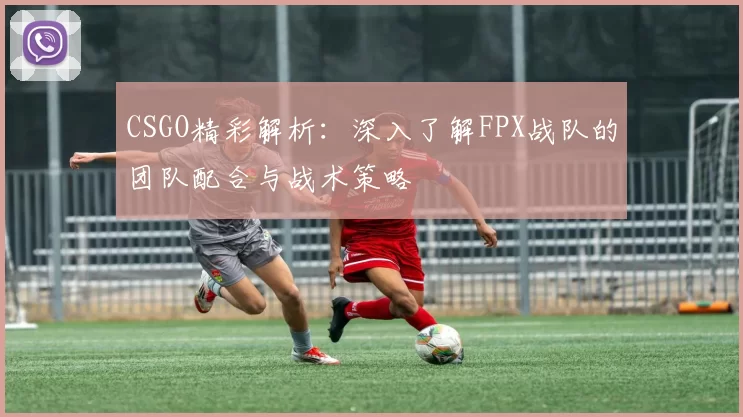 CSGO精彩解析：深入了解FPX战队的团队配合与战术策略