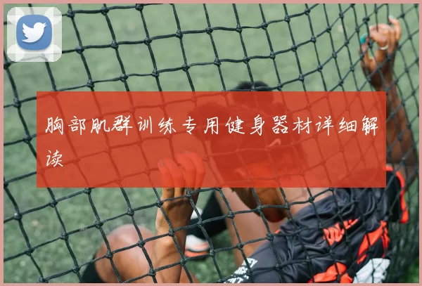 胸部肌群训练专用健身器材详细解读