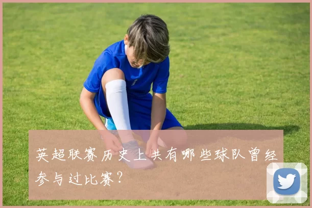 英超联赛历史上共有哪些球队曾经参与过比赛？