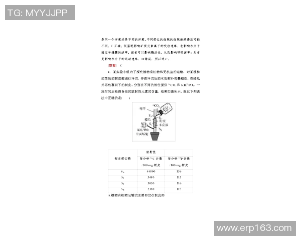 提升网球水平的五大核心技巧与实用训练方法解析