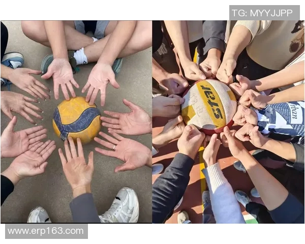 杨丽独家分享排球心得与技巧助你提升球技的完美指南